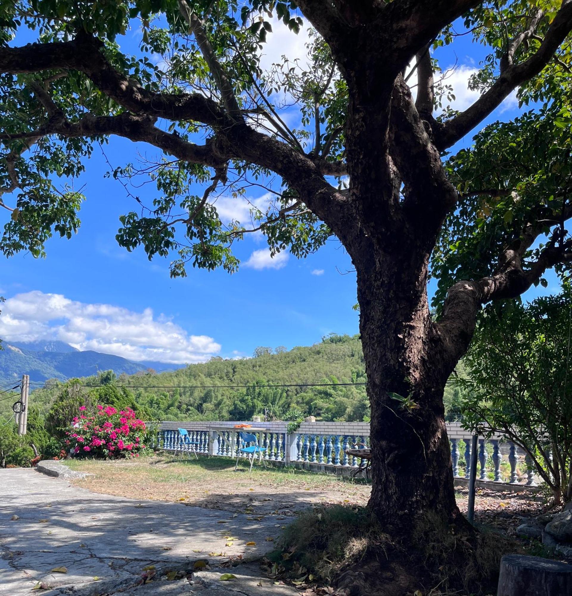 十畝田山莊會館 Ξενοδοχείο Chishang Εξωτερικό φωτογραφία
