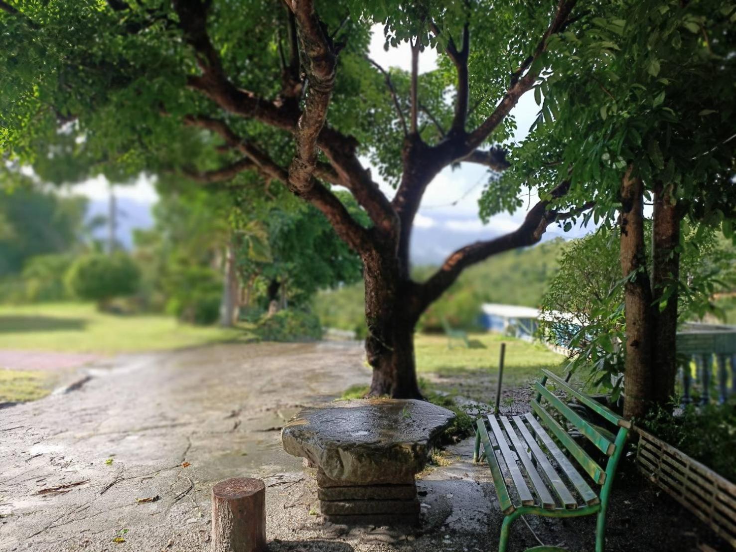 十畝田山莊會館 Ξενοδοχείο Chishang Εξωτερικό φωτογραφία